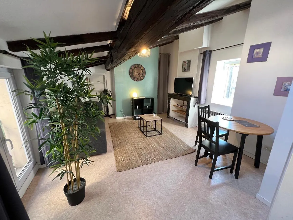 Studio Cosy Hyper Centre Grenoble location